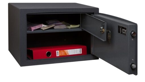 SAFEtronics NTL 24Ms
